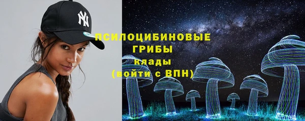 2c-b Карпинск