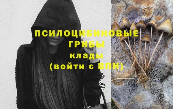 прущий лед Алексин