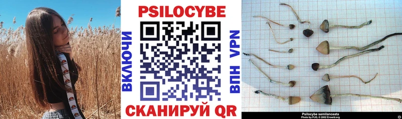 Галлюциногенные грибы Psilocybe  MEGA онион  Калач-на-Дону 