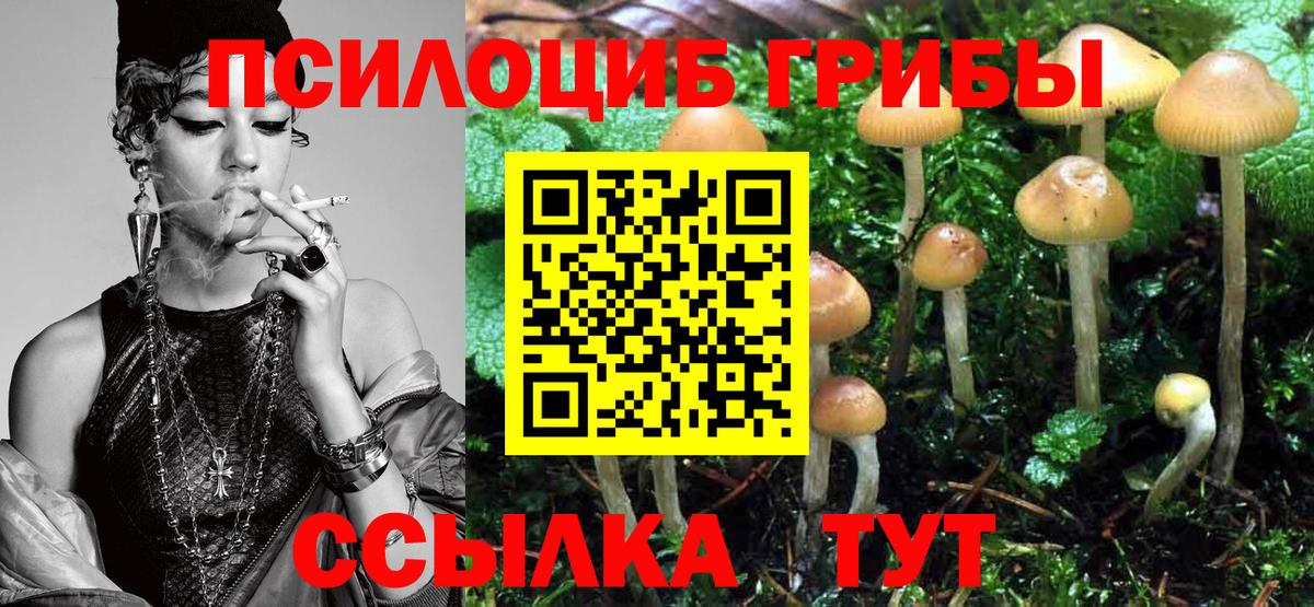 Калач-на-Дону  Галлюциногенные грибы Cubensis  Вход с VPN 